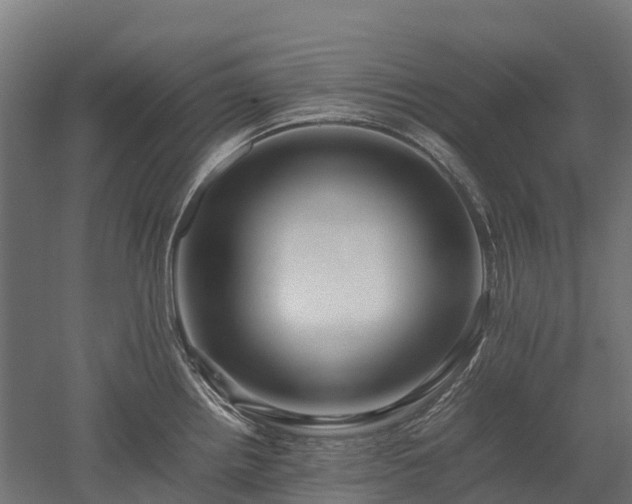 X0000052951242200507151701