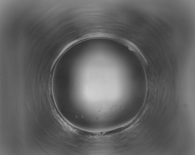 X0000052951244200507151701