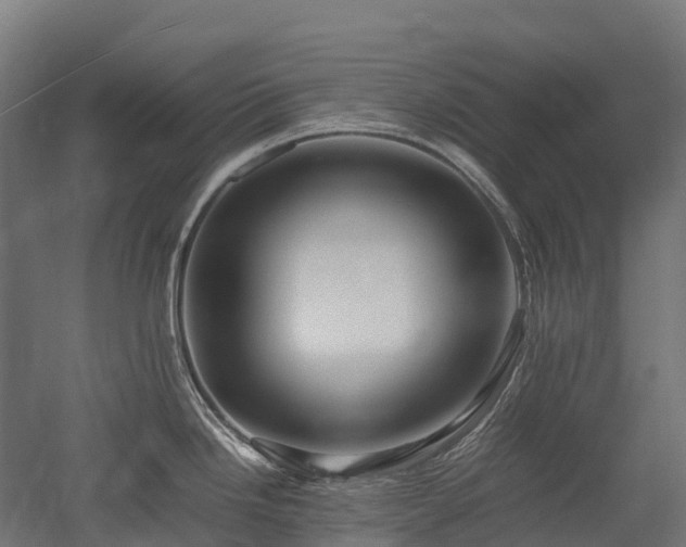 X0000052951246200507151701