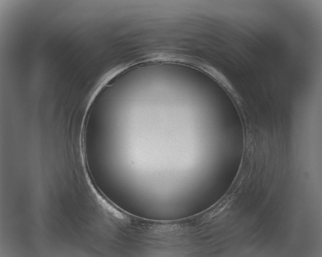 X0000052951247200507151701