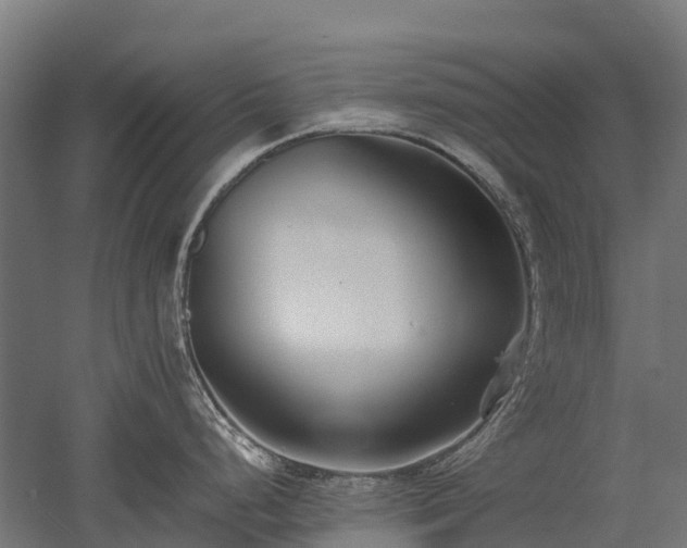 X0000052951248200507151701