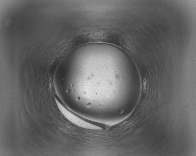X0000052951251200507151700