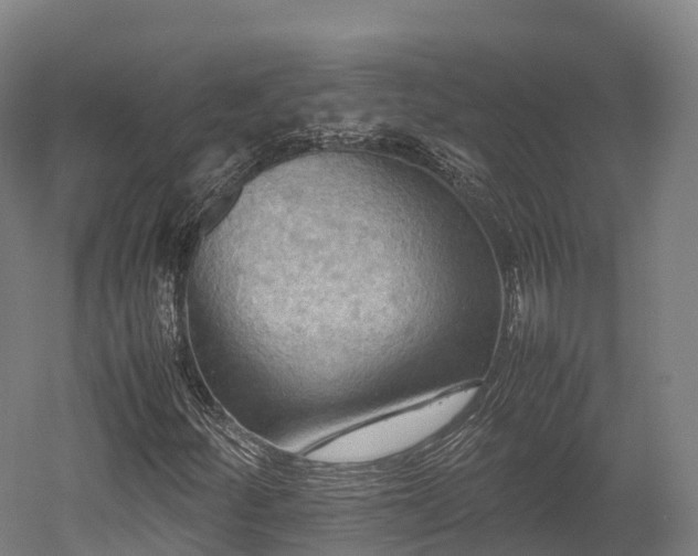 X0000052951252200507151700