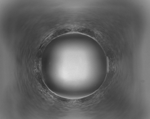 X0000052951253200507151700