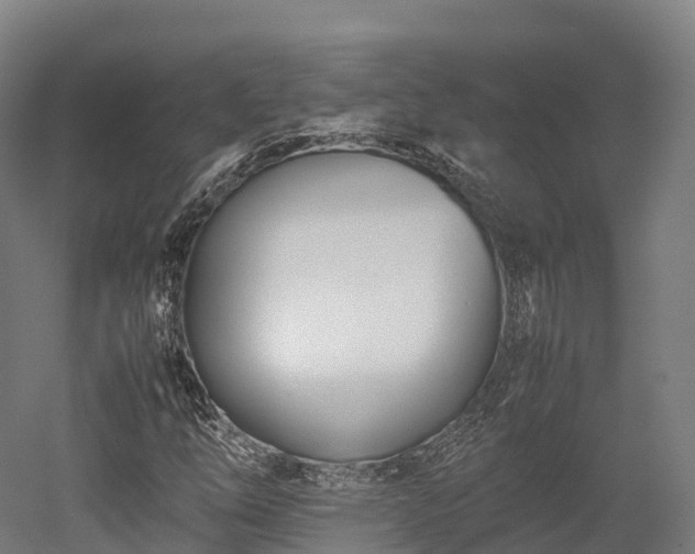 X0000052951254200507151700