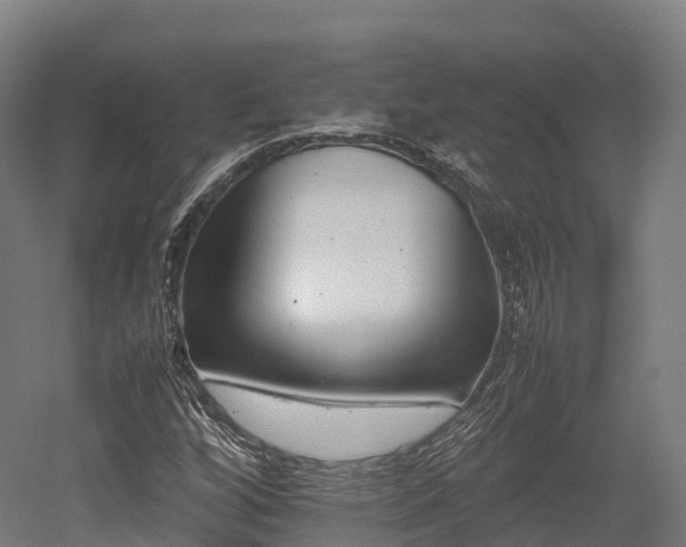 X0000052951256200507151700