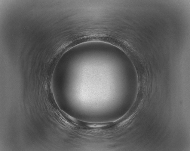 X0000052951257200507151700