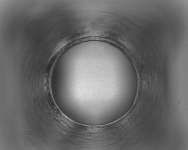 X0000052951258200507151700