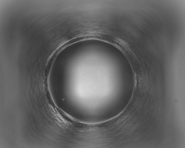 X0000052951260200507151700
