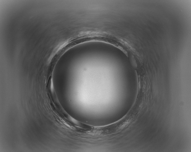 X0000052951261200507151700