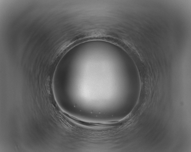X0000052951265200507151700