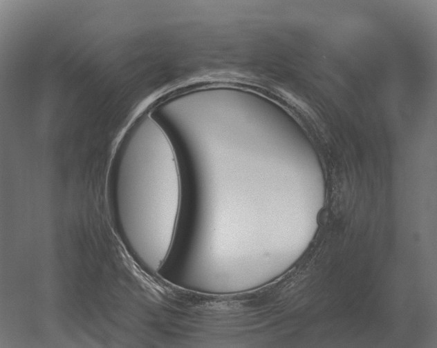 X0000052951272200507151700