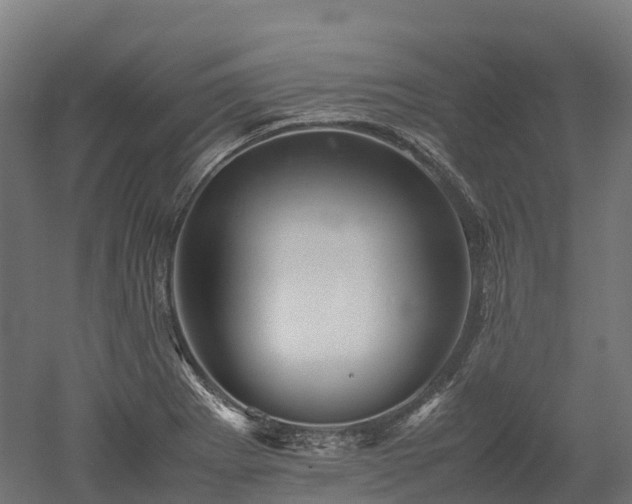 X0000052951273200507151700