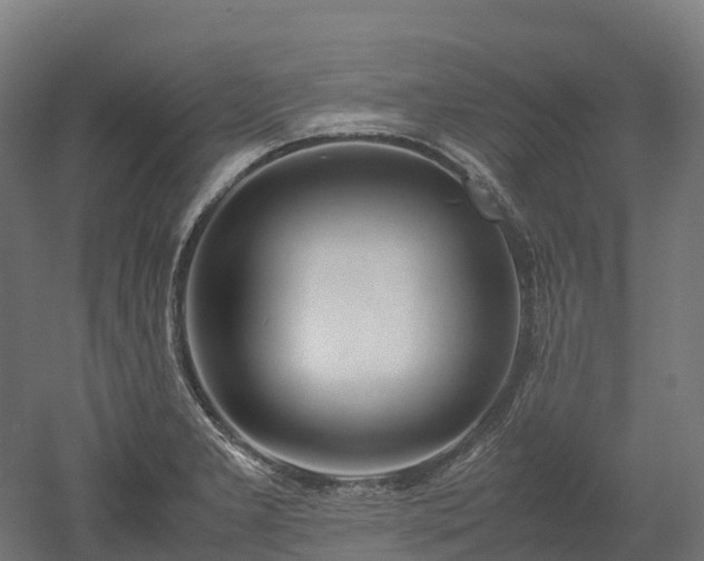 X0000052951277200507151700