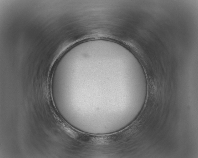 X0000052951278200507151700