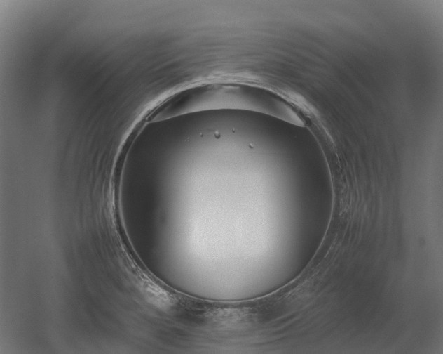 X0000052951280200507151659