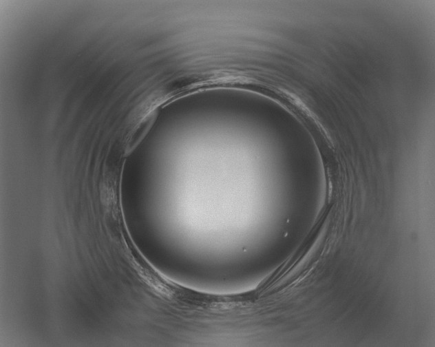X0000052951281200507151659