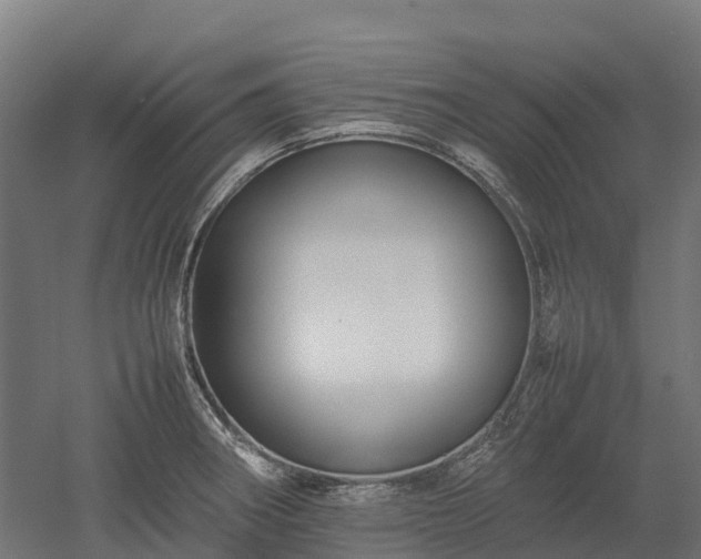 X0000052951282200507151659
