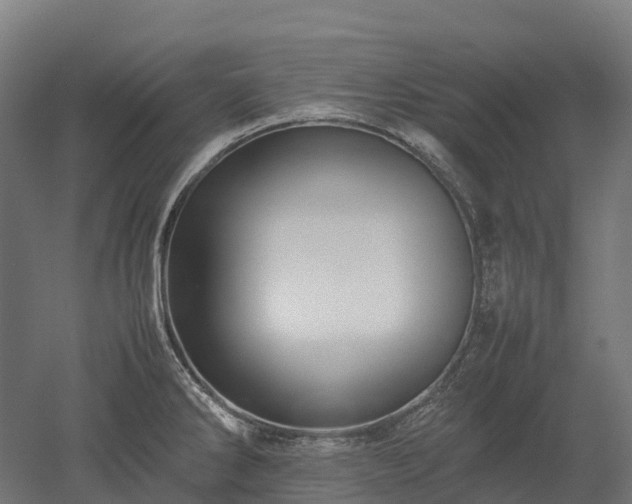 X0000052951286200507151659