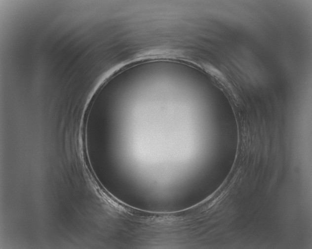 X0000052951288200507151659