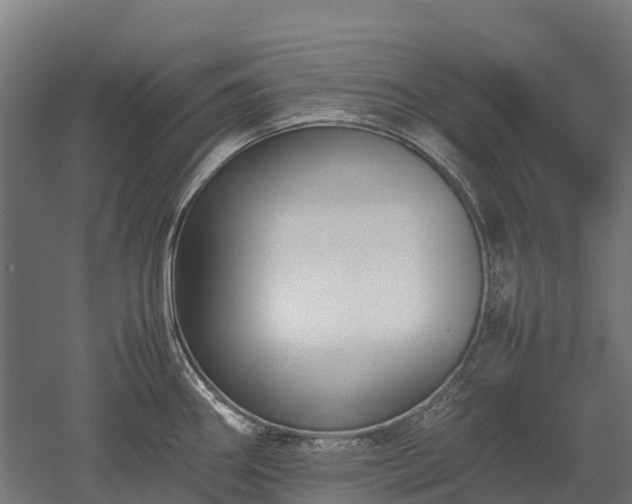 X0000052951290200507151659