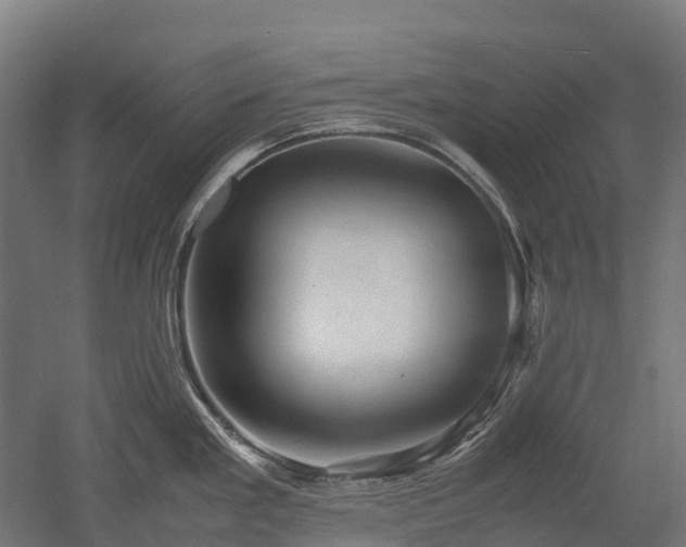 X0000052951293200507151659