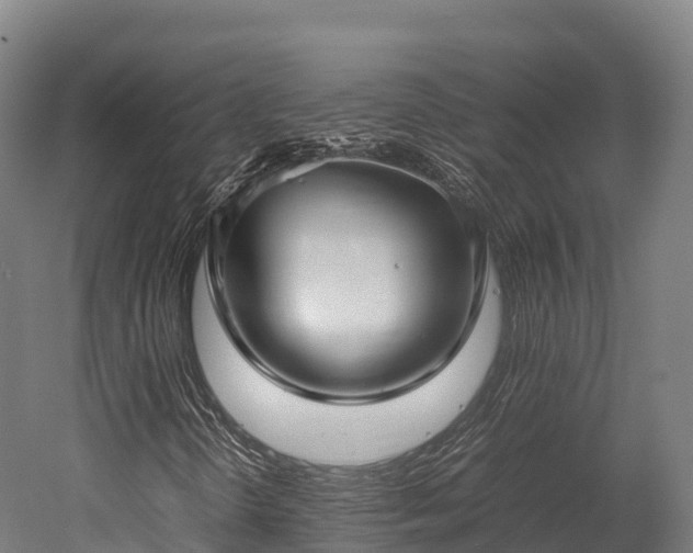 X0000052951298200507151658