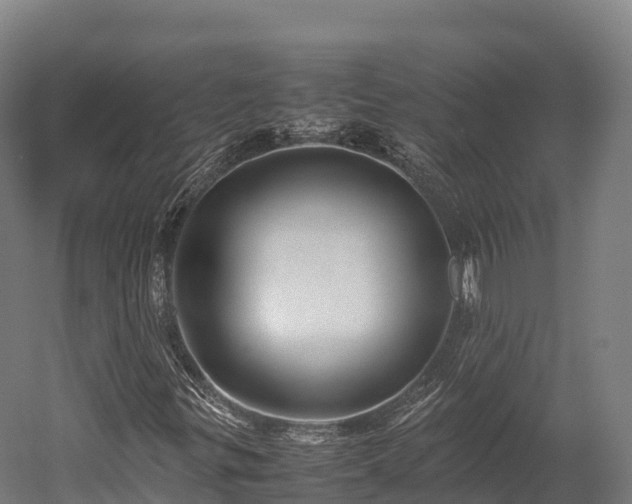 X0000052951299200507151658