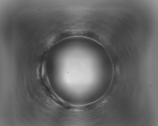 X0000052951300200507151658
