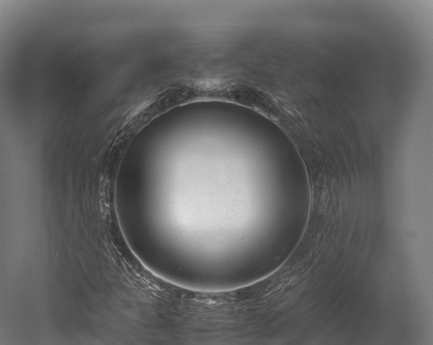 X0000052951301200507151658