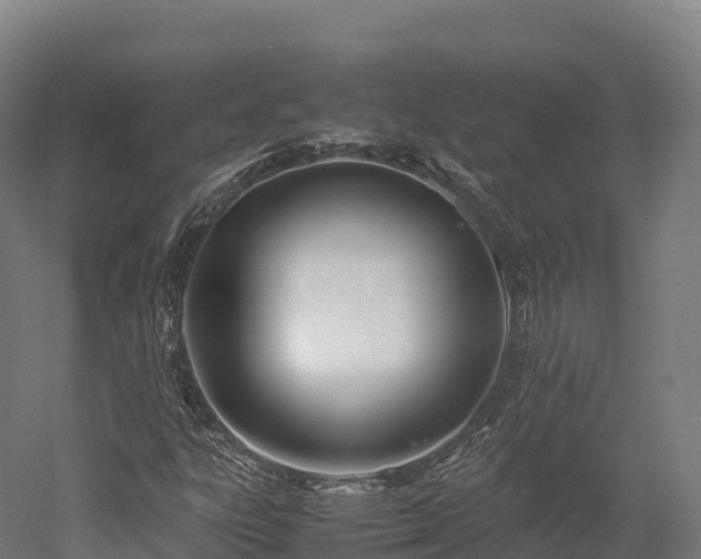X0000052951303200507151659