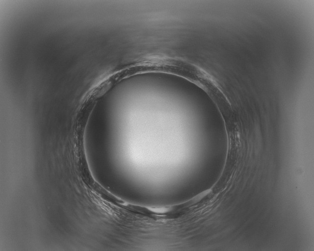X0000052951304200507151659