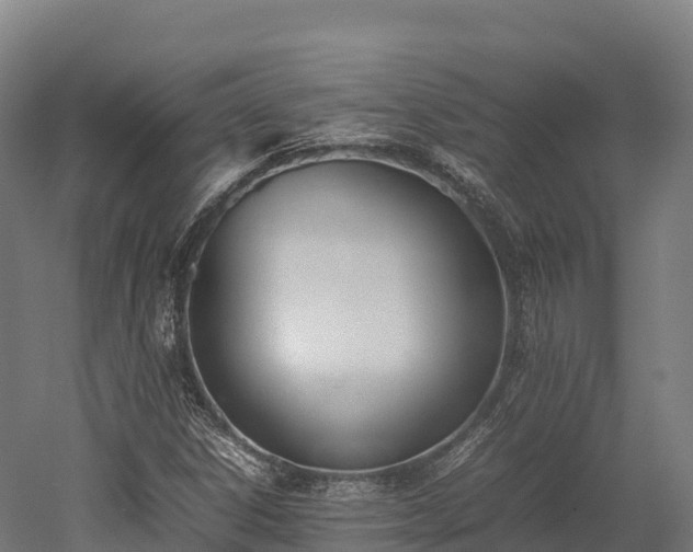 X0000052951306200507151659