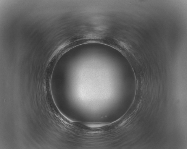 X0000052951307200507151659