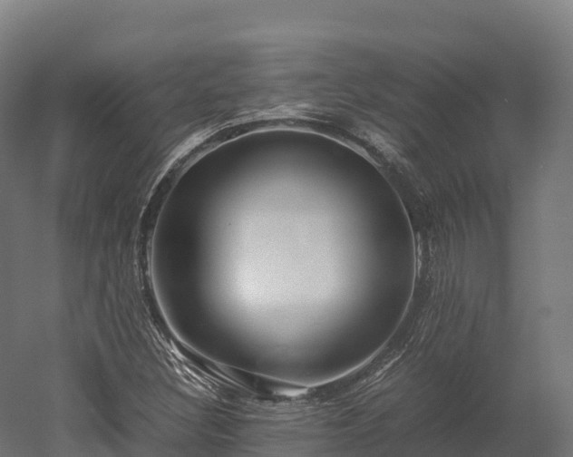 X0000052951308200507151659