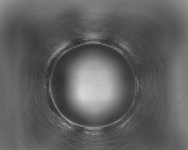 X0000052951309200507151659