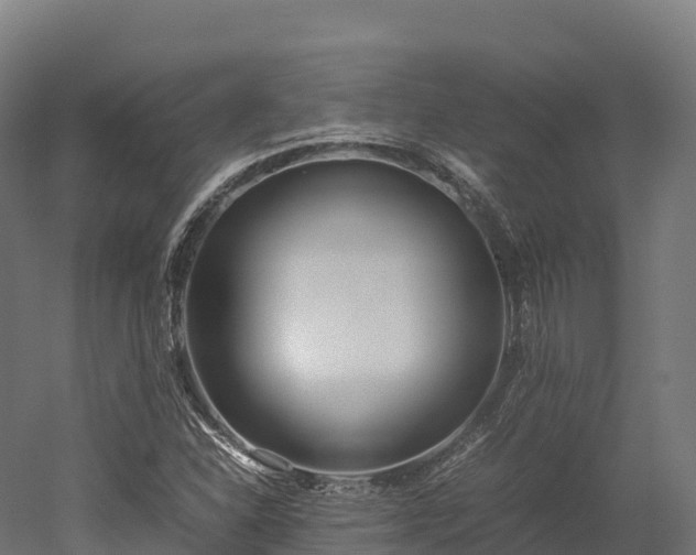 X0000052951310200507151659