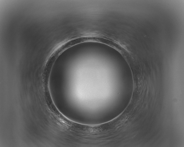 X0000052951311200507151659