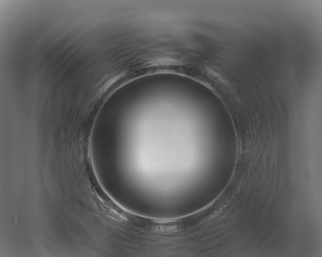 X0000052951313200507151659
