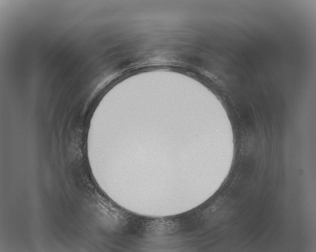 X0000052951314200507151659