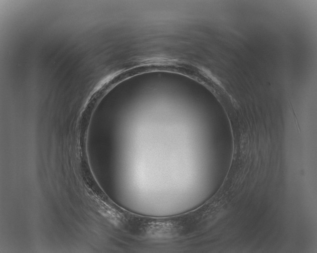 X0000052951315200507151659