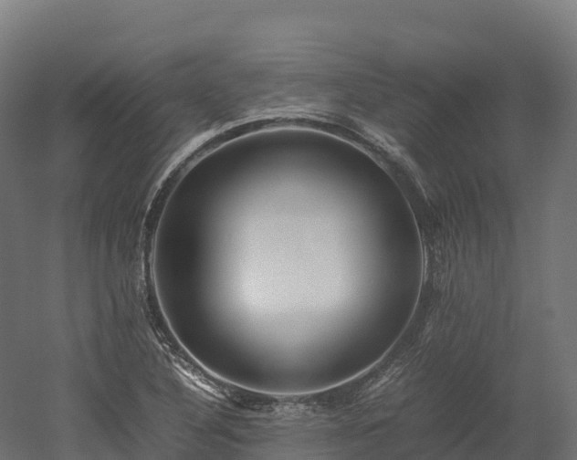 X0000052951316200507151659