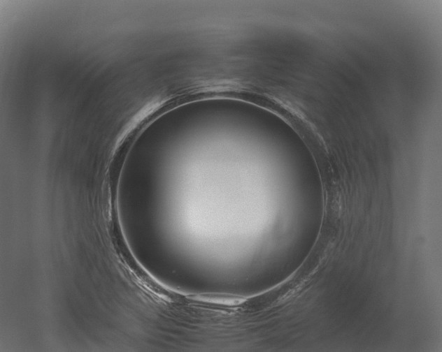 X0000052951317200507151659