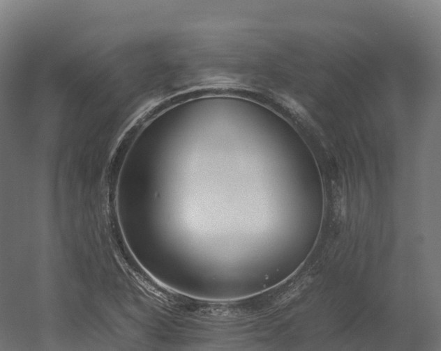 X0000052951318200507151659