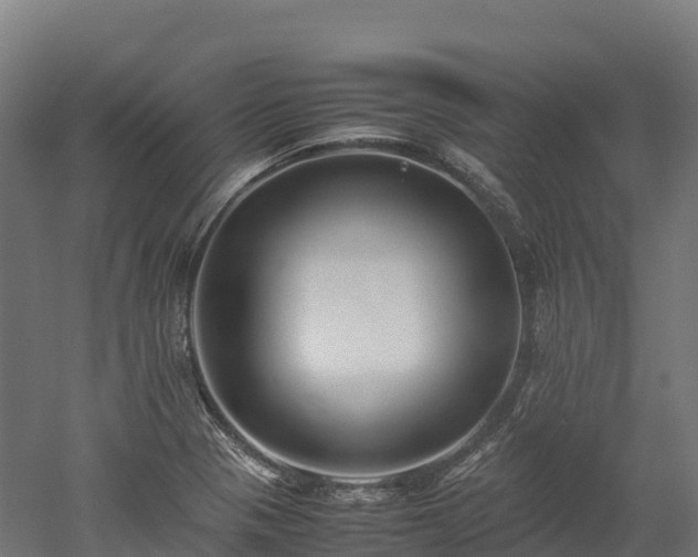 X0000052951321200507151659