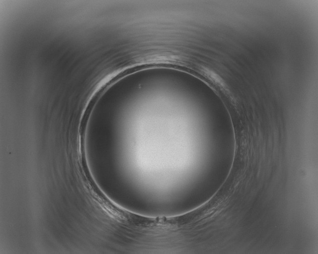 X0000052951324200507151659