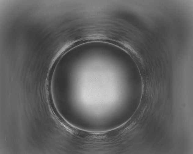 X0000052951325200507151659