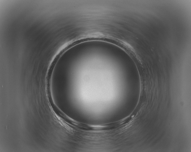 X0000052951326200507151659
