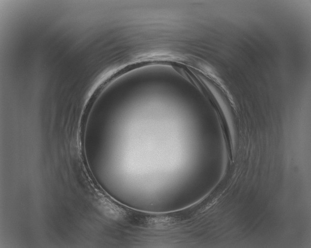 X0000052951328200507151659