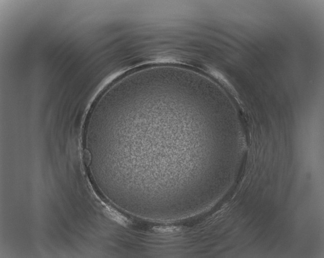 X0000052951331200507151659
